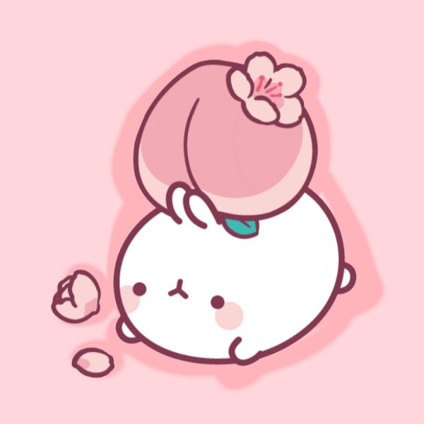 Кролик Моланг Стикеры