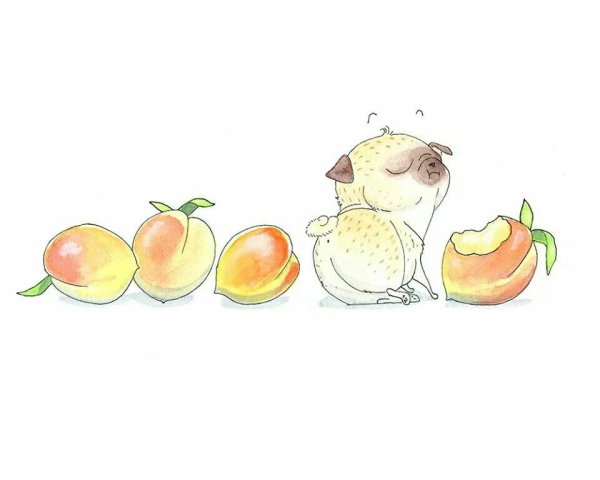 Мопсы крестом Катерина Бесперстова схемы