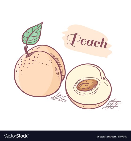 Милый персик для срисовки