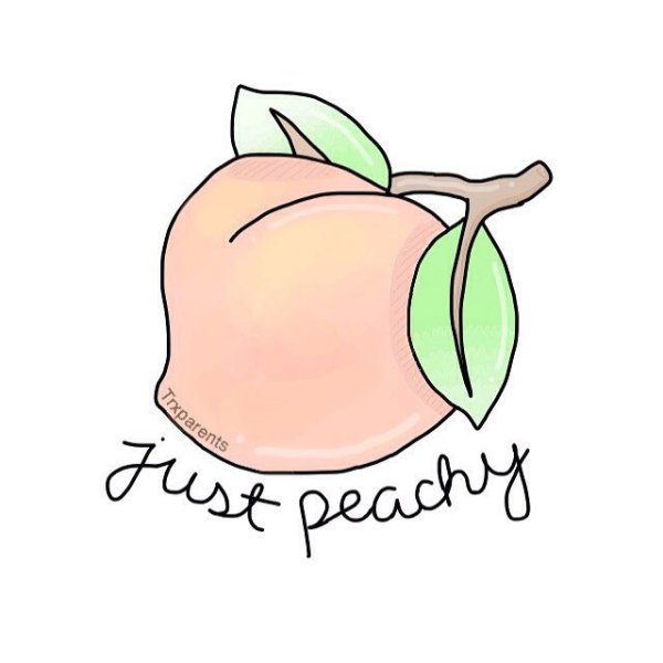 Персик рисунок для срисовки