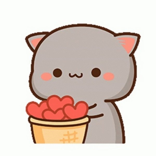 Mochi Mochi Peach Cat