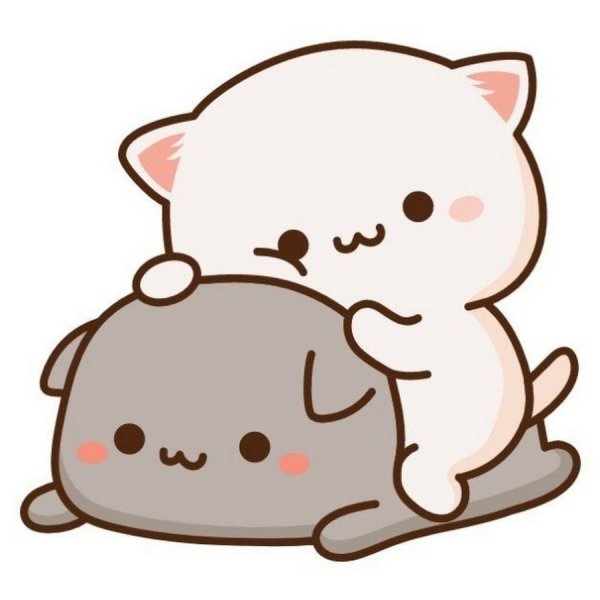 Кавайные котики