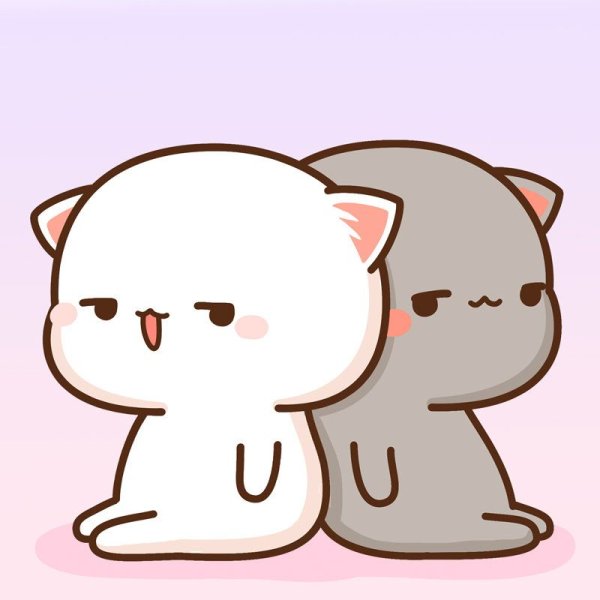 Mochi Cat Peach любовь