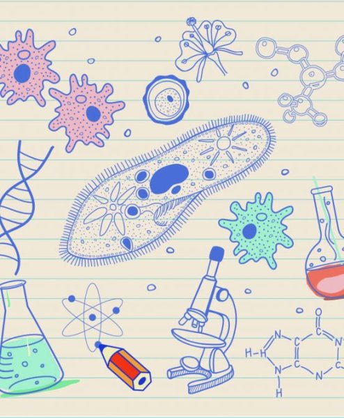 Фон для презентации по биологии