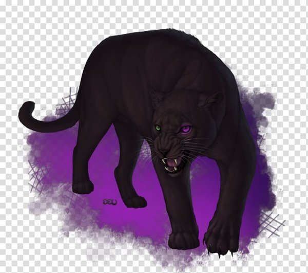 Фиолетовая пантера