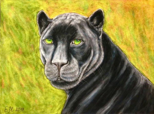 Черная пантера рисунок для срисовки