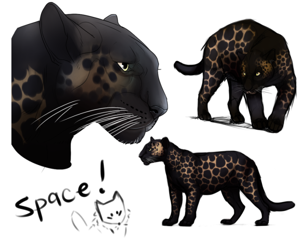 Леопард и пантера арт