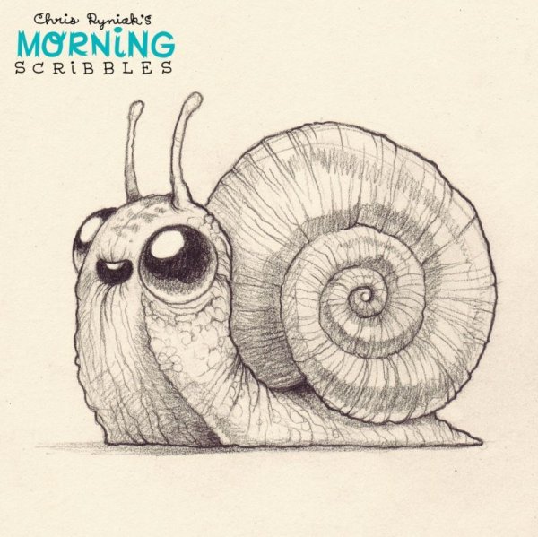 Улитка для срисовки