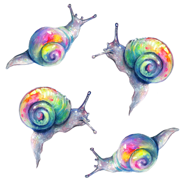 Улитка скетч