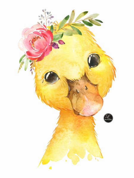 Утята акварелью