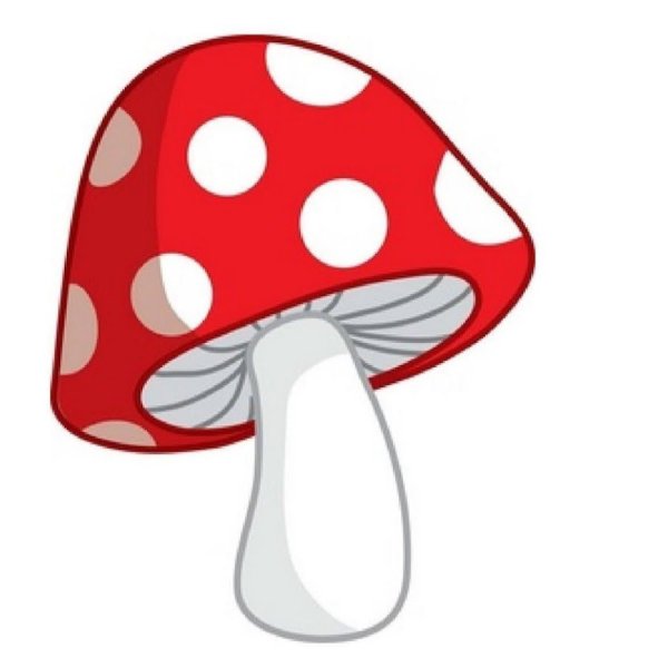 Инди КИД грибок мухомор