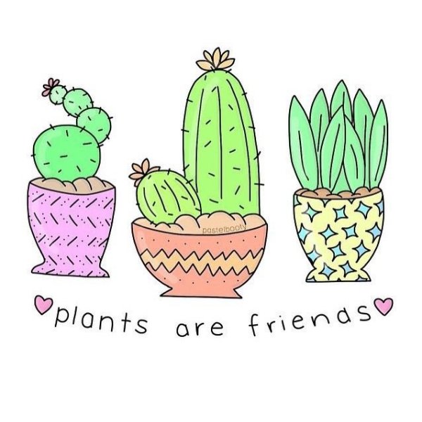 Кактус рисунок для срисовки