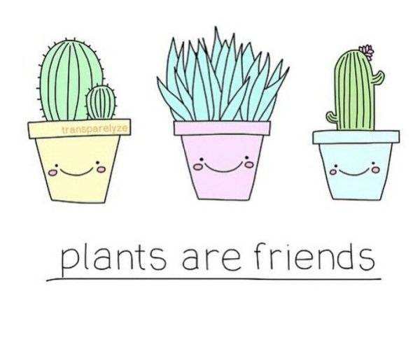 Растения для срисовки