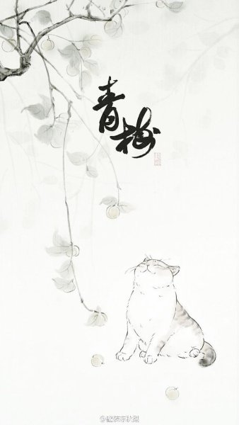 Котик в китайском стиле