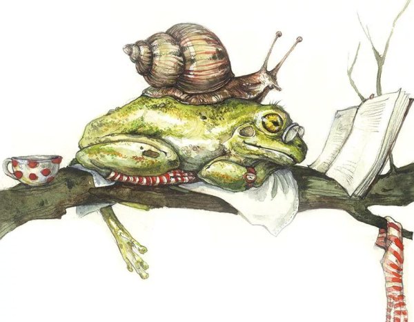 Инди КИД грибы