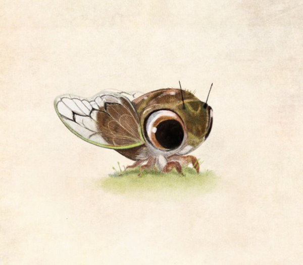 Сидни Хэнсон Sydney Hanson насекомые