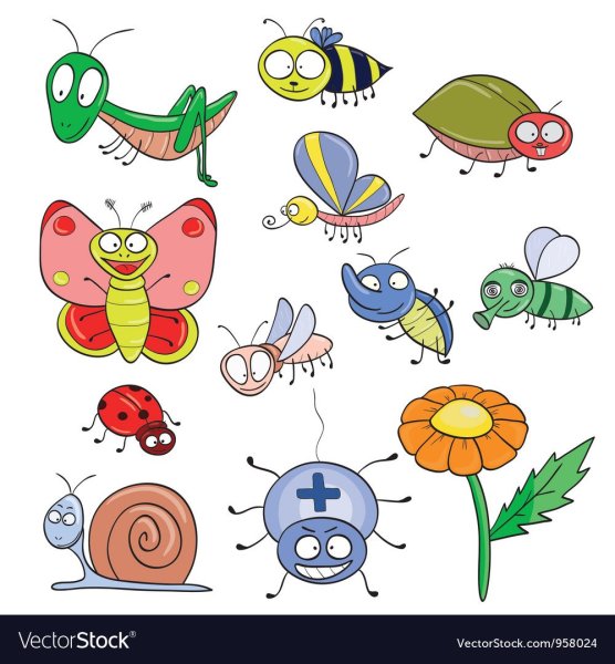 Насекомые рисунок