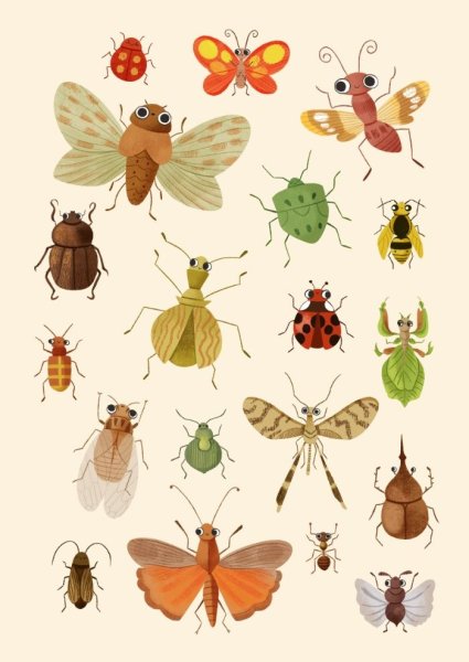 Насекомые для детей