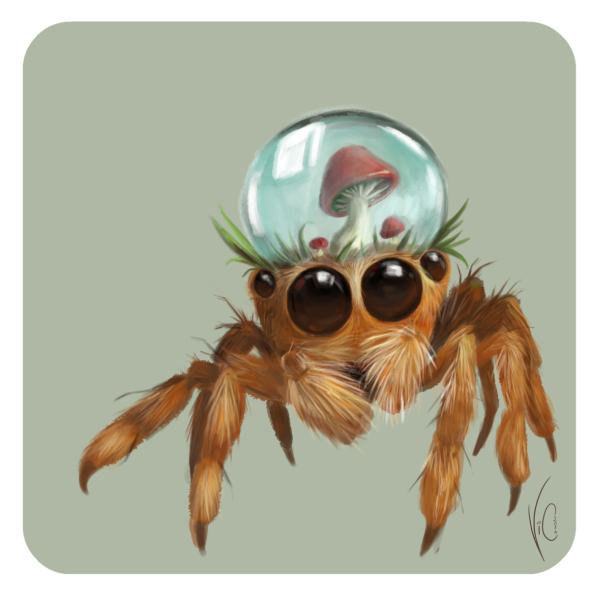 Милый паучок арт