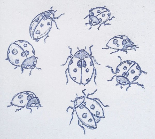 Божья коровка скетч