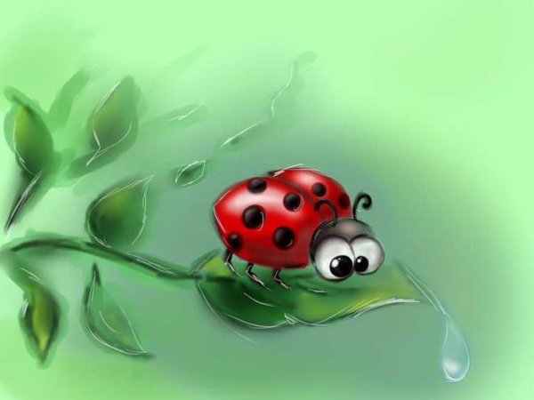 День полета Божьих коровок 23 августа