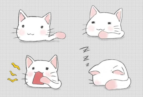 Кавайная мордочка кота