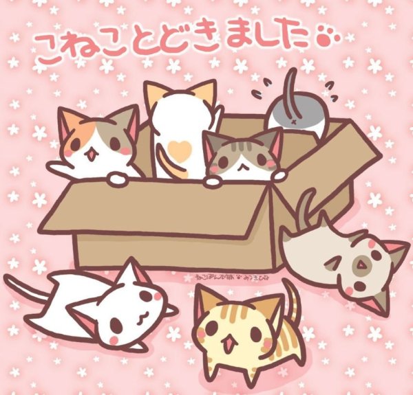 Анимешные котики