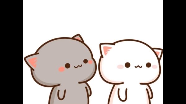 Кавайный котик