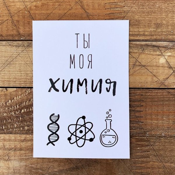 Авокадо на зеленом фоне