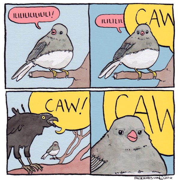 Приколы в переписке с девушкой