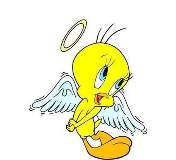 Твитти цыпленок мультфильм