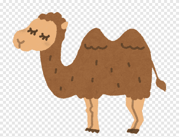 Милые Верблюды мультяшные