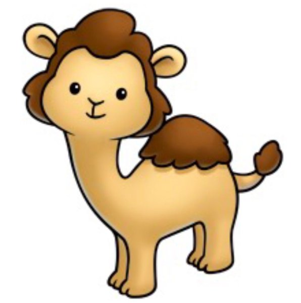 Верблюжонок рисунок для детей
