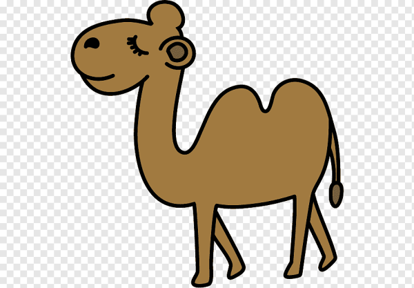 Верблюд 2д