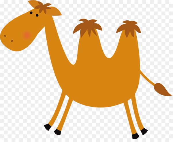 Желтый верблюд