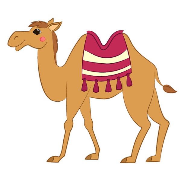 Верблюд для детей