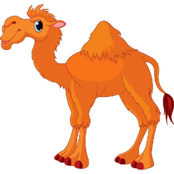 Верблюд картинка для детей