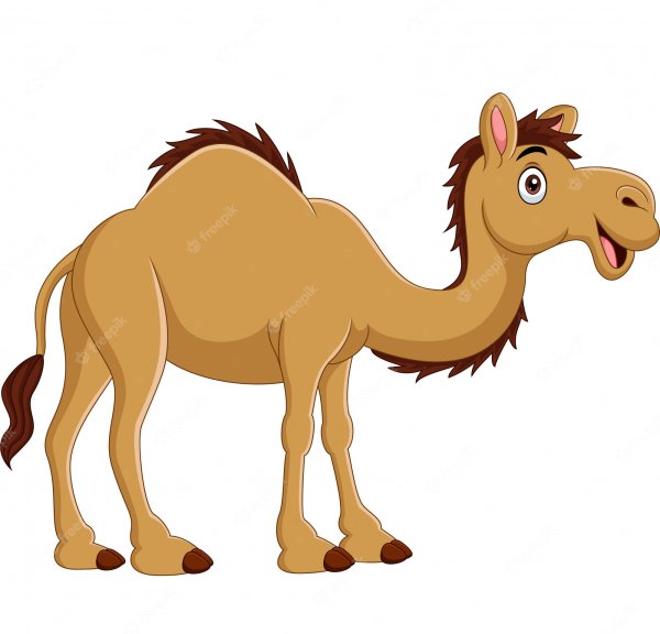 Верблюд мультяшный