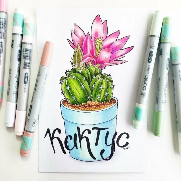 Идеи для рисунков