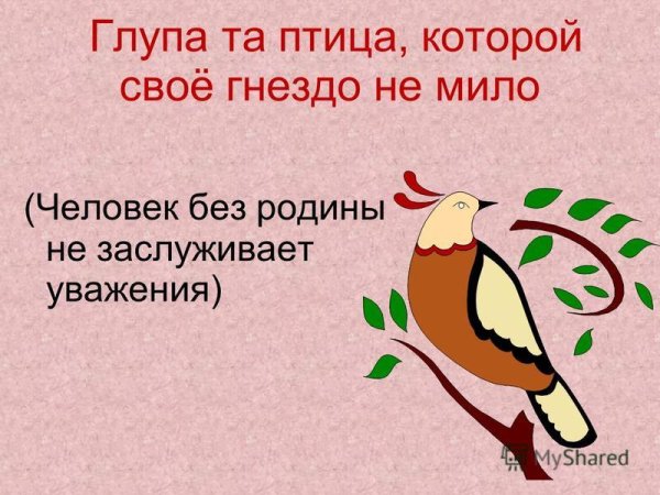 Глупа та птица которой свое гнездо не