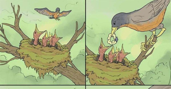 Комиксы про птиц и птенцов