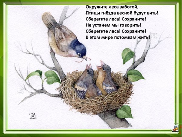 Стих про гнезда птиц