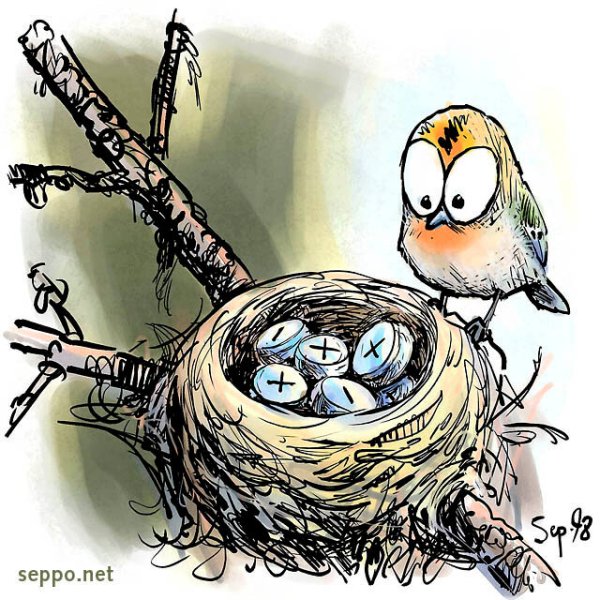 Смешная птица в гнезде