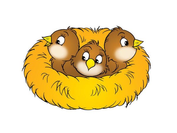 Птенцы в гнезде для детей