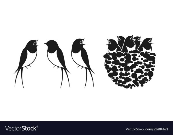 Силуэт гнезда ласточки