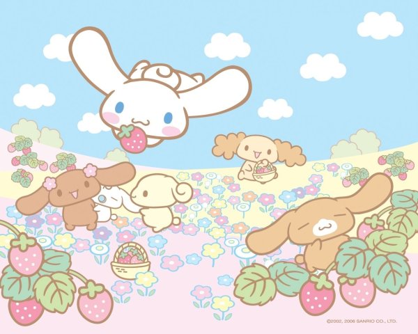 Cinnamoroll hello Kitty