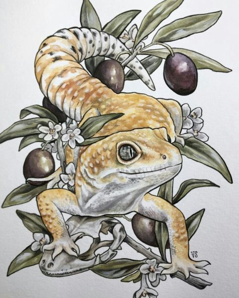 Ящерица рисунок