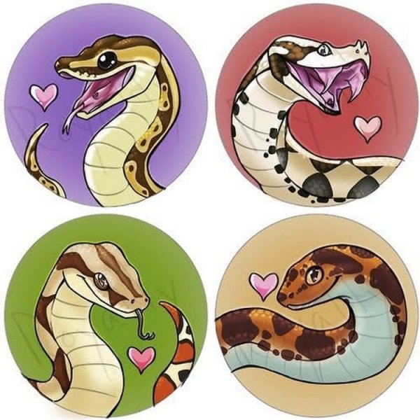 Королевский питон арт