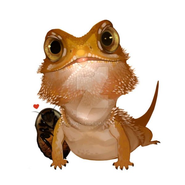 Бананоед ящерица арт