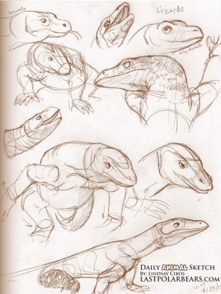 Варан скетч